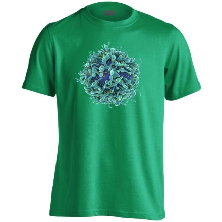 Sej-T immunológus férfi póló (zöld)