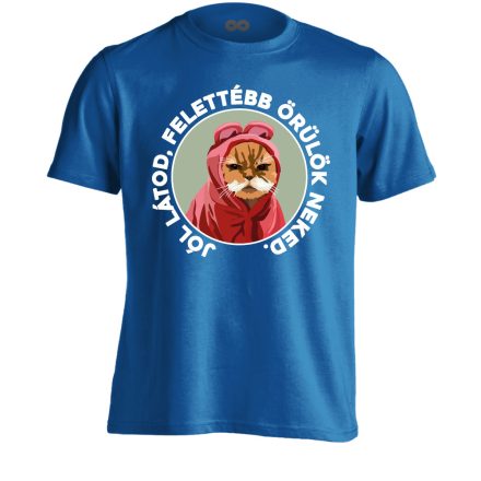 Felettébb Örülök macskás férfi póló (kék)