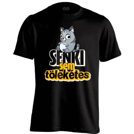 PobodyIsNerfect macskás férfi póló (fekete)