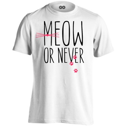 Felirat "most vagy soha" macskás férfi póló (fehér)
