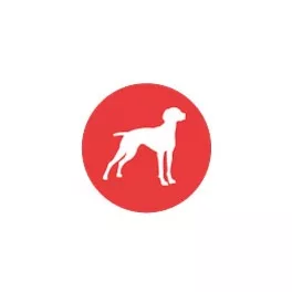 Magyar vizsla