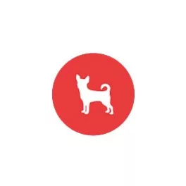 Csivava