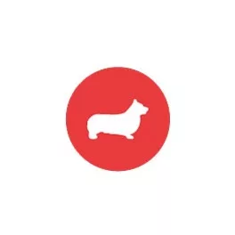 Corgi