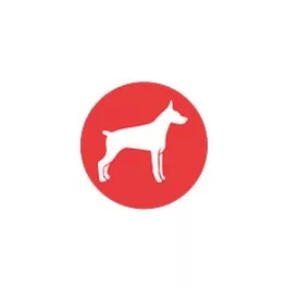 Doberman