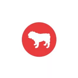 Angol bulldog