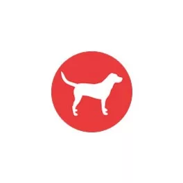 Labrador